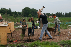 Wurzelgarten-Gärtnern